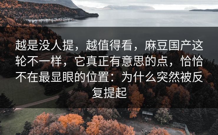 越是没人提，越值得看，麻豆国产这轮不一样，它真正有意思的点，恰恰不在最显眼的位置：为什么突然被反复提起